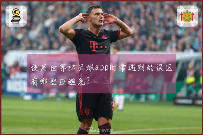 使用世界杯买球app时常遇到的误区有哪些应避免？