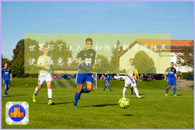 世界杯下注入口如何判断正规性及使用注意事项解析