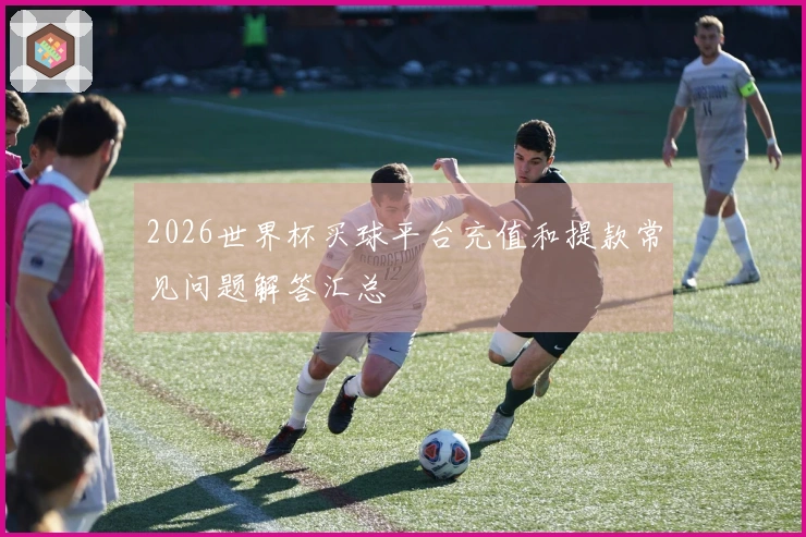 2026世界杯买球平台充值和提款常见问题解答汇总
