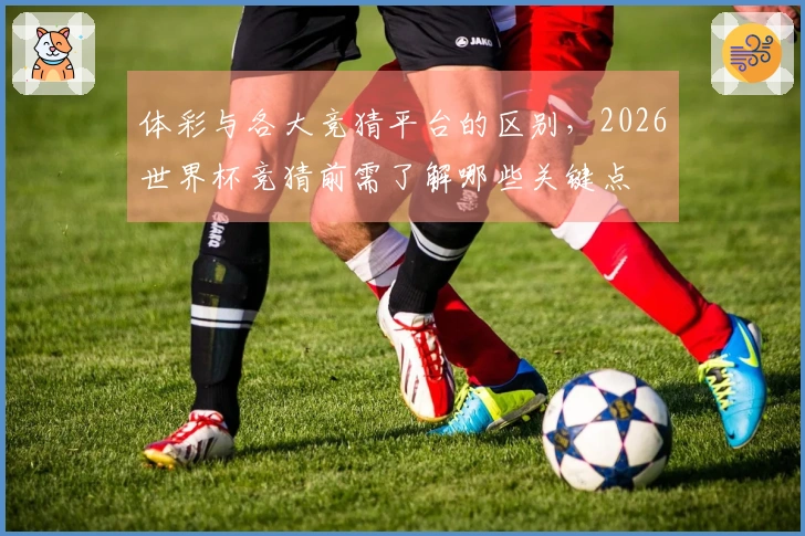 体彩与各大竞猜平台的区别，2026世界杯竞猜前需了解哪些关键点