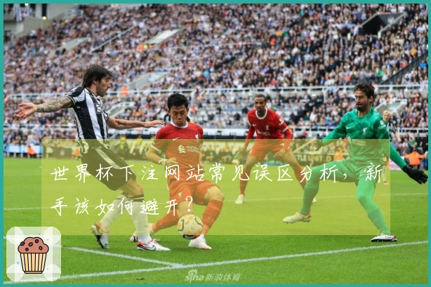 世界杯下注网站常见误区分析，新手该如何避开？