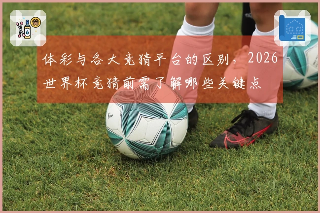 体彩与各大竞猜平台的区别，2026世界杯竞猜前需了解哪些关键点