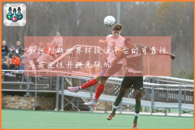 如何判断世界杯投注平台的可靠性与安全性并避免踩坑
