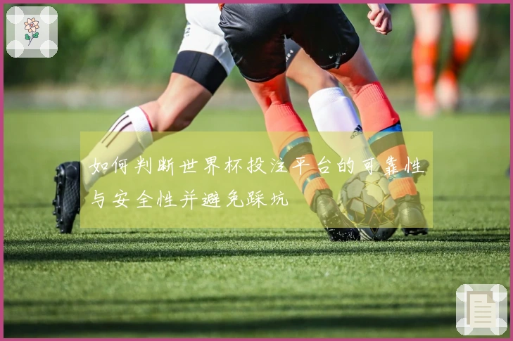 如何判断世界杯投注平台的可靠性与安全性并避免踩坑