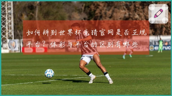 如何辨别世界杯竞猜官网是否正规平台？体彩与平台的区别有哪些